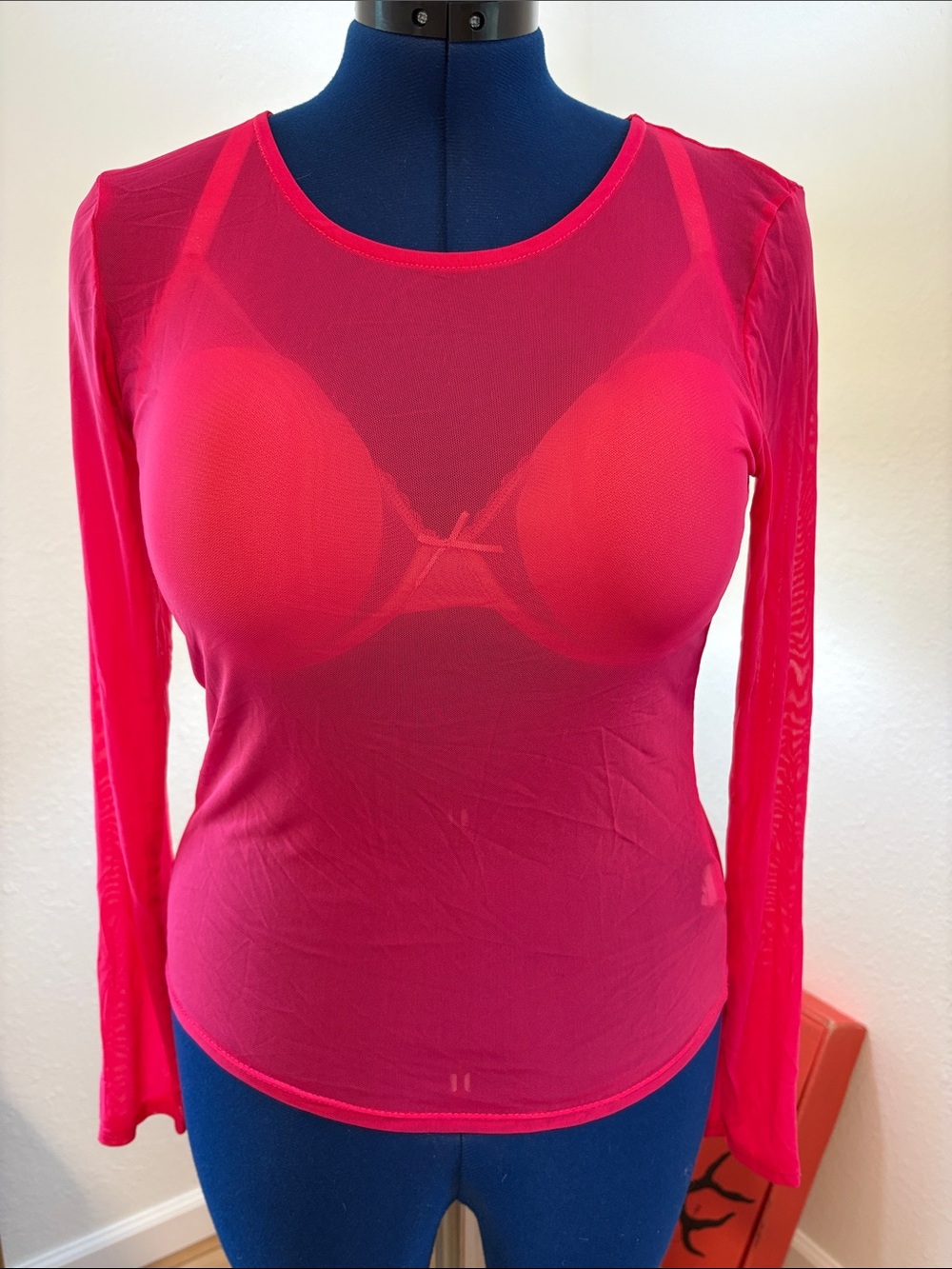 Ten Sixty Sherman Sheer Long-Sleeve Scoop Top in Hot Pink